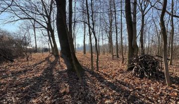 Działka rolno-budowlana Nysa