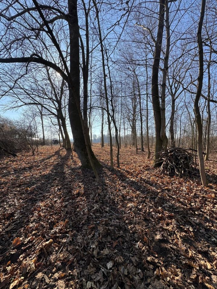 Działka rolno-budowlana Nysa