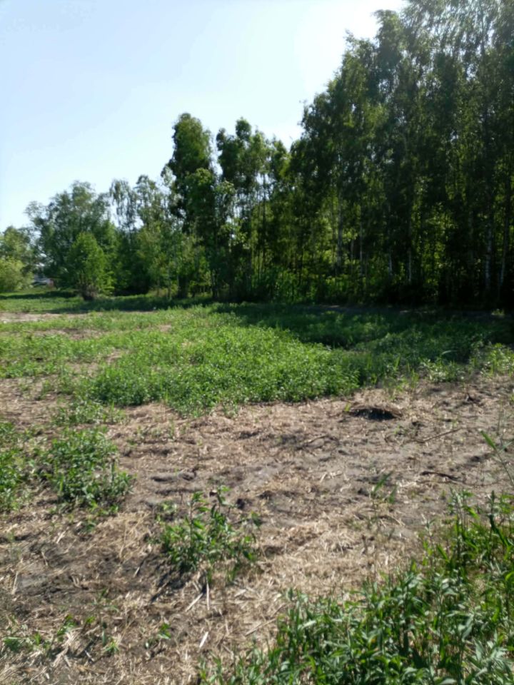 Działka budowlana Nowe Grabie, Osiedle pod Klonami. Zdjęcie 8