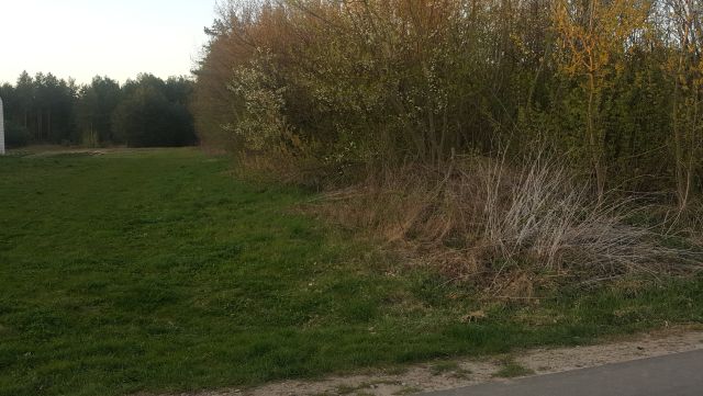 Działka budowlana Siekierka Nowa, Siekierka Nowa. Zdjęcie 1