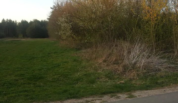 Działka budowlana Siekierka Nowa, Siekierka Nowa