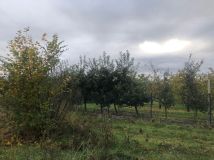 Działka budowlana Mochle. Zdjęcie 3