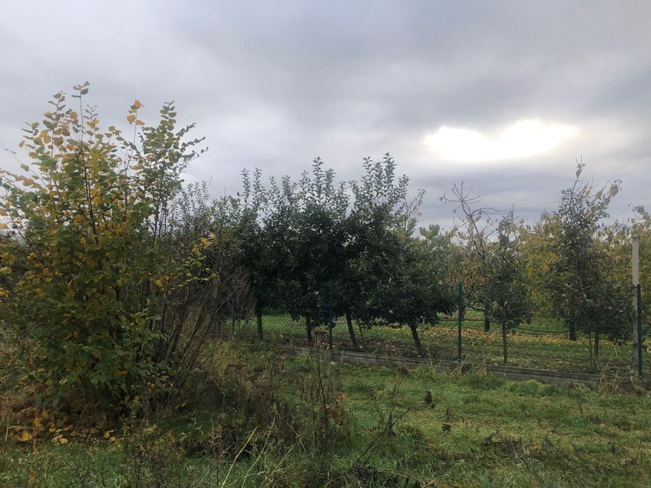 Działka budowlana Mochle. Zdjęcie 4