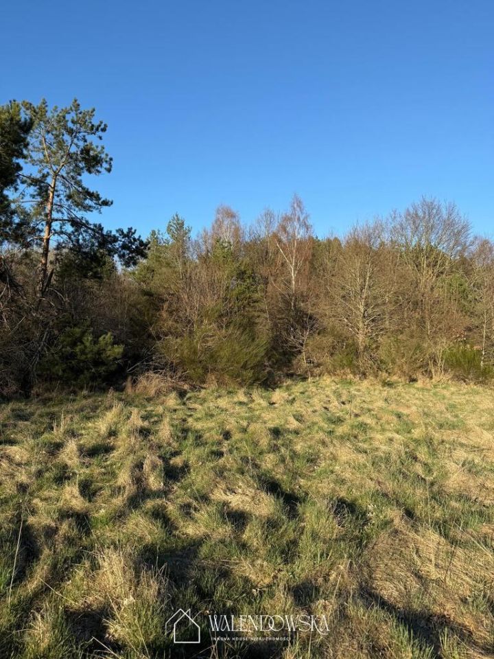 Działka rolna Gardna Wielka. Zdjęcie 4