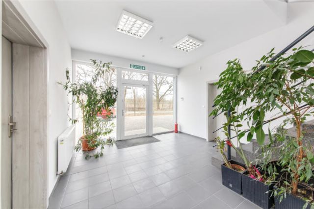 Lokal Wrocław Psie Pole, ul. Pełczyńska. Zdjęcie 15