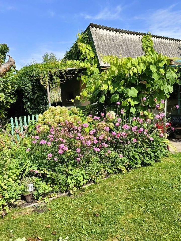 Działka rod Elbląg, ul. Działkowa. Zdjęcie 3