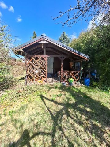 Działka rod Korytów A. Zdjęcie 1