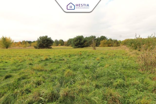 Działka rolna Jęczydół. Zdjęcie 4