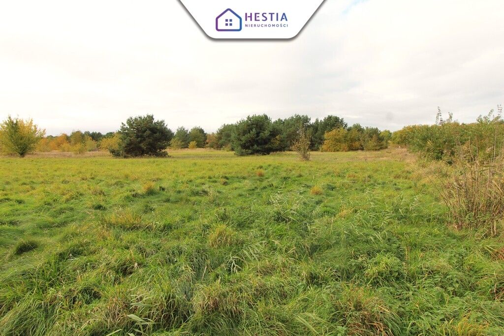 Działka rolna Jęczydół. Zdjęcie 4