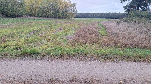 Działka rolno-budowlana Przegaliny Małe. Zdjęcie 1