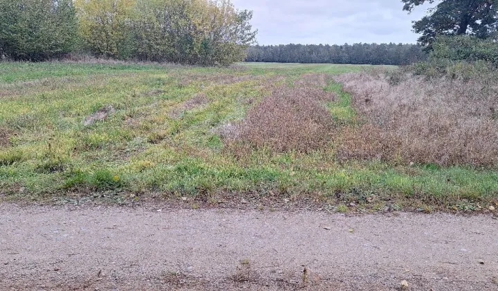 Działka rolno-budowlana Przegaliny Małe