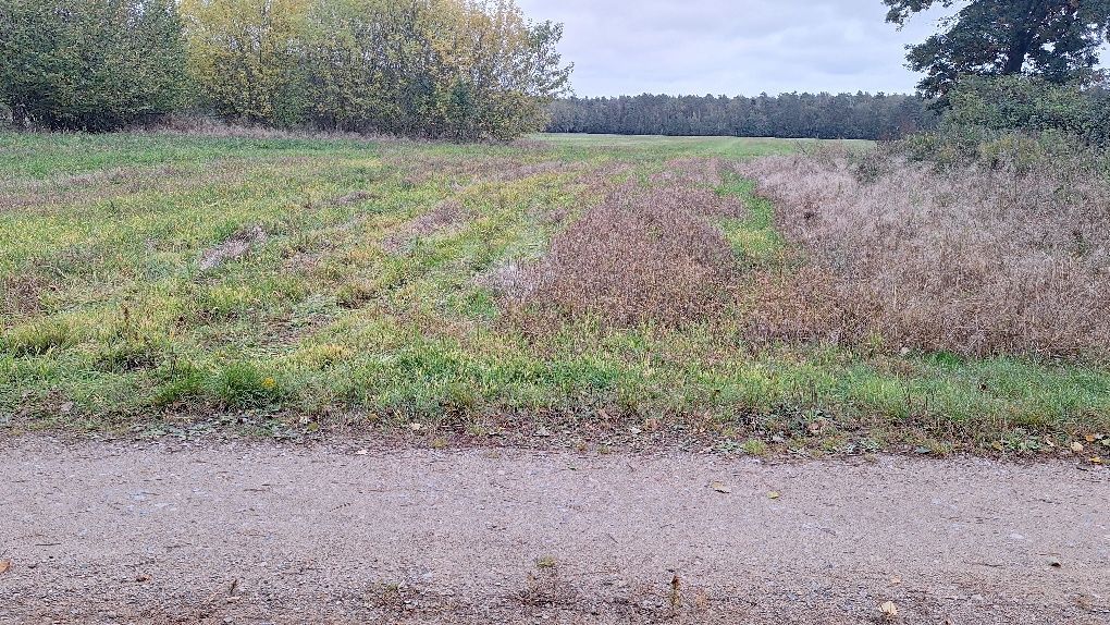 Działka rolno-budowlana Przegaliny Małe