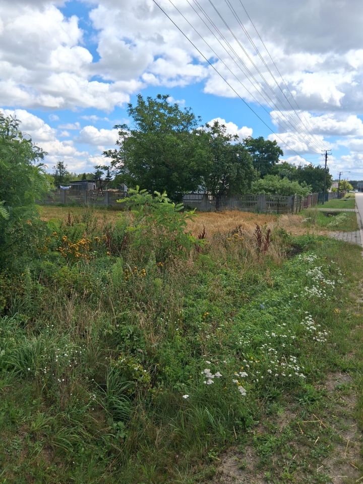 Działka rolno-budowlana Chustki. Zdjęcie 4