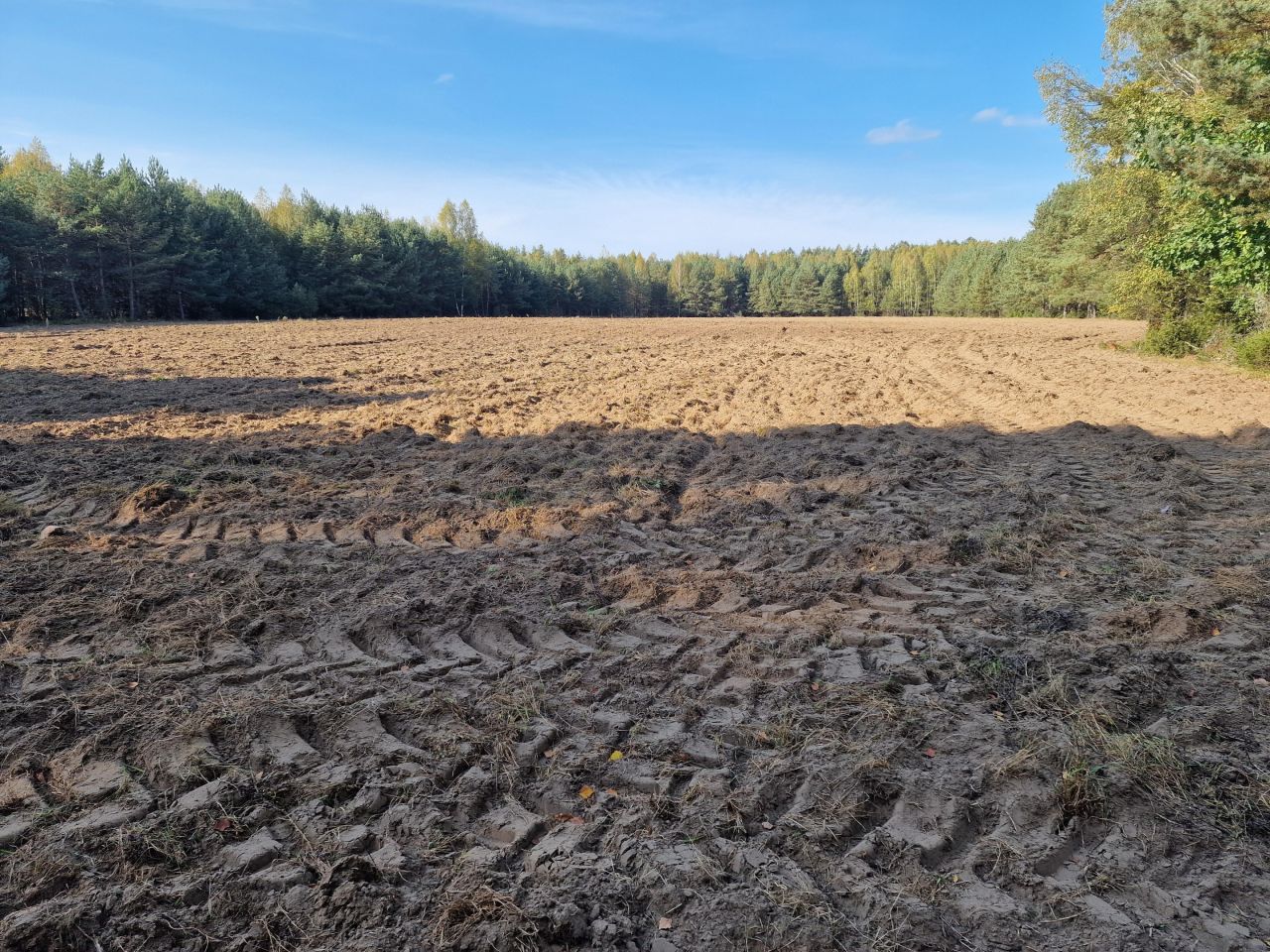 Działka siedliskowa Nowy Lipsk. Zdjęcie 29