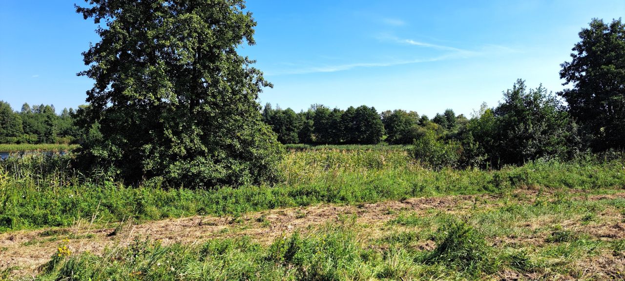 Działka rolna Cerkiewnik. Zdjęcie 6