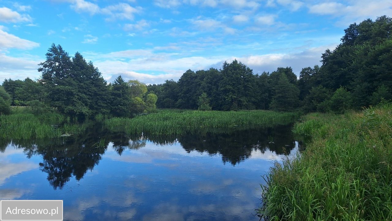 Działka budowlana Łupawa. Zdjęcie 5