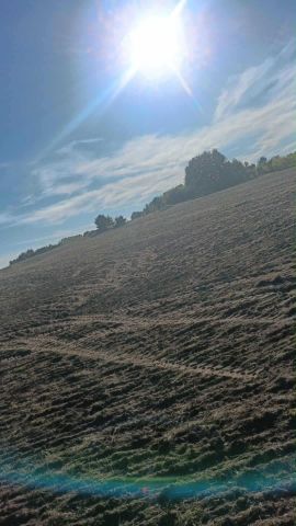 Działka rolna Malenie. Zdjęcie 1