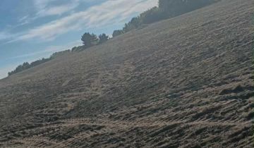 Działka rolna Malenie