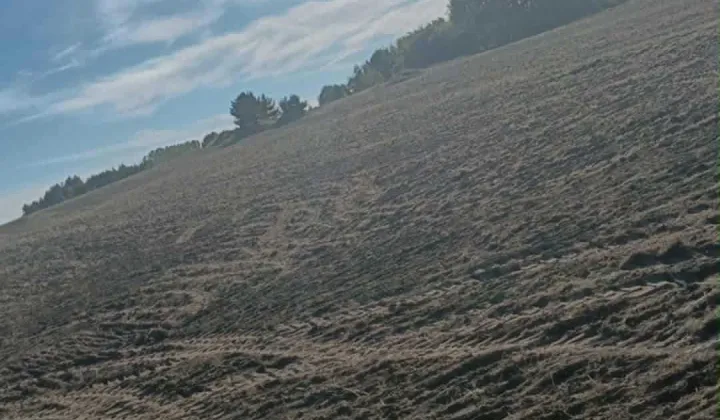 Działka rolna Malenie