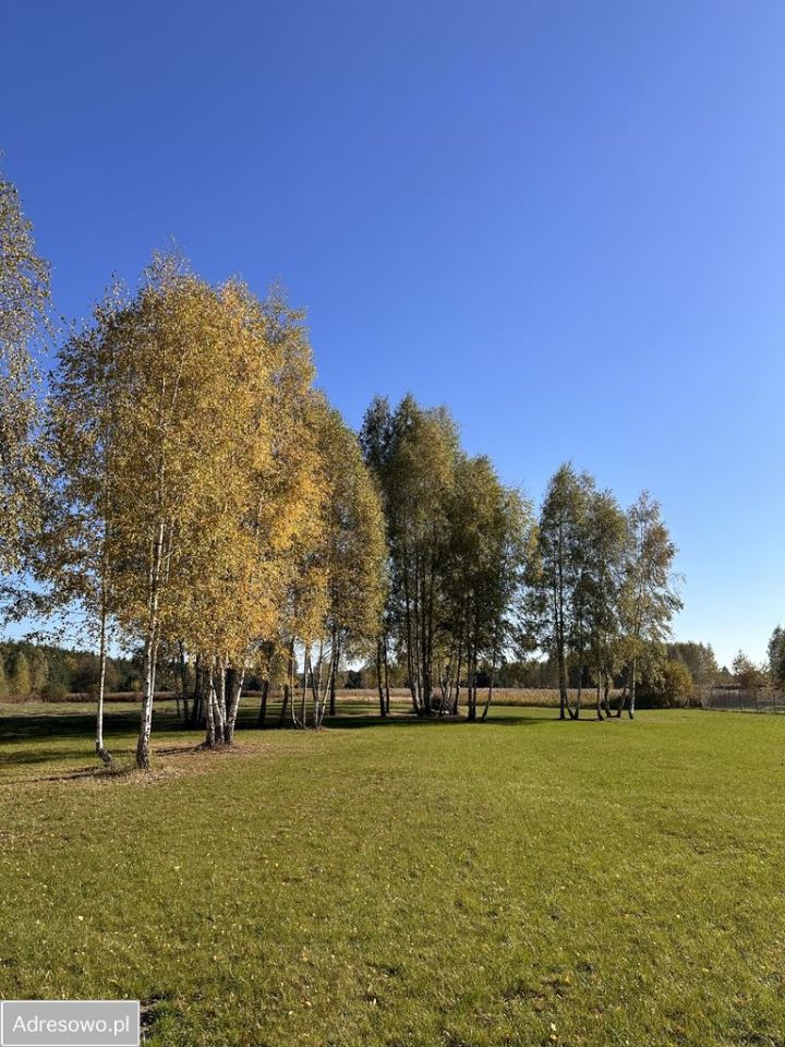 Działka budowlana Natolin. Zdjęcie 10