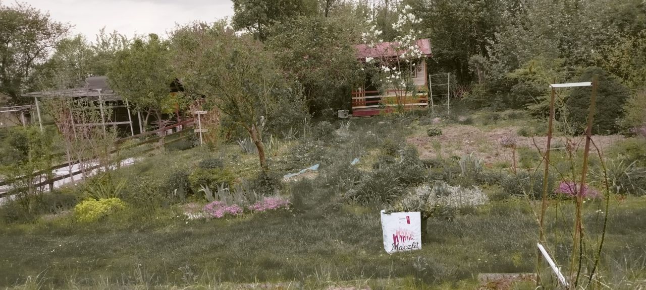 Działka rod Elizówka, ul. Aroniowa. Zdjęcie 1