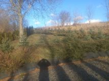 Działka budowlana Wojbórz. Zdjęcie 4