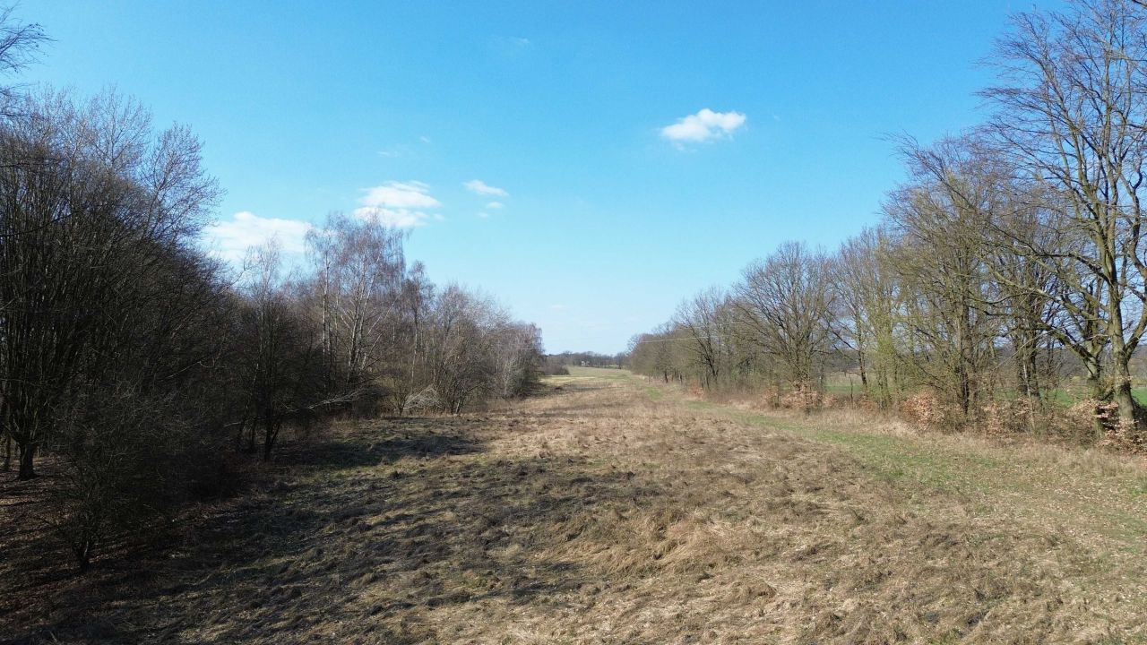 Działka rolna Kołowo. Zdjęcie 4