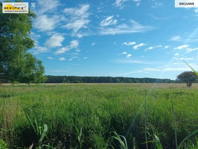 Działka inwestycyjna Szczecin Wielgowo. Zdjęcie 8