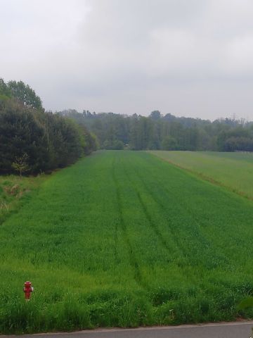 Działka rolno-budowlana Drobnice. Zdjęcie 1