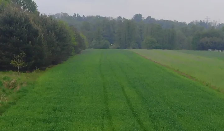 Działka rolno-budowlana Drobnice