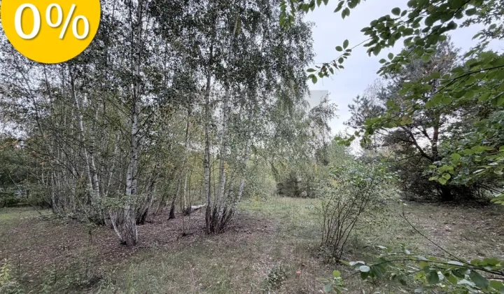 Działka budowlana Sierzchów, ul. Słoneczna