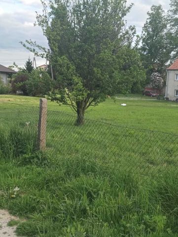 Działka budowlana Komorów. Zdjęcie 1