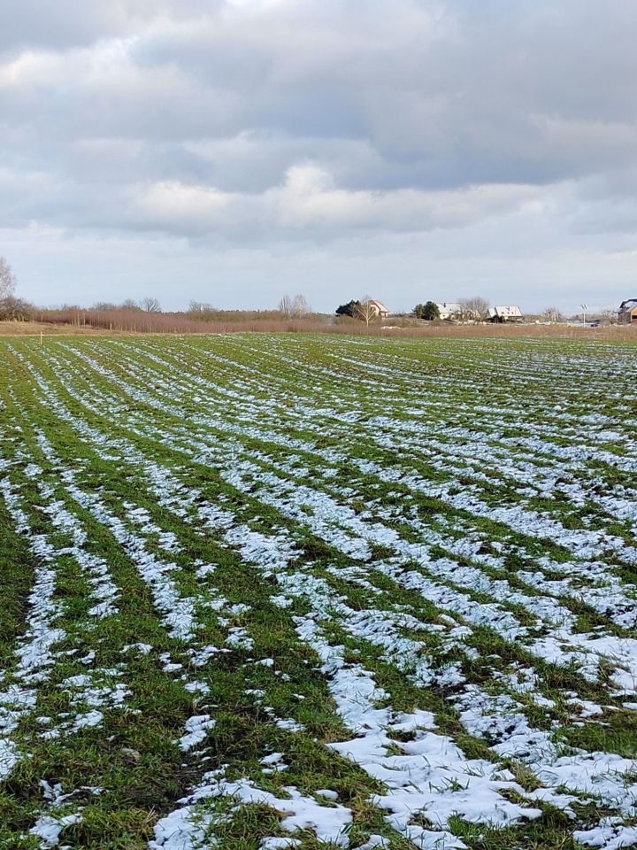 Działka rolno-budowlana Gady. Zdjęcie 6