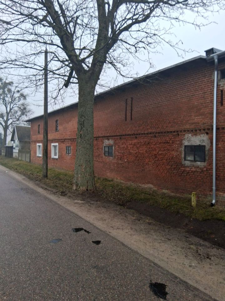 Działka siedliskowa Dziarny. Zdjęcie 5