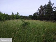 Działka rolna Rostki Skomackie