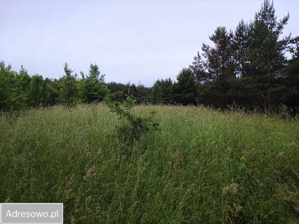 Działka rolna Rostki Skomackie