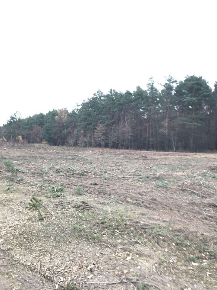 Działka budowlana Osina. Zdjęcie 2