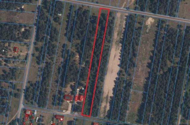 Działka budowlana Jedle. Zdjęcie 1