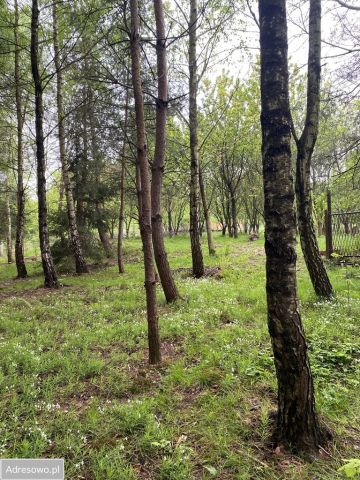 Działka rekreacyjna Marcyporęba. Zdjęcie 1