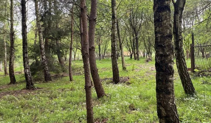 Działka rekreacyjna Marcyporęba