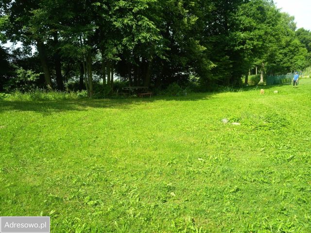 Działka rolna Rańsk. Zdjęcie 1