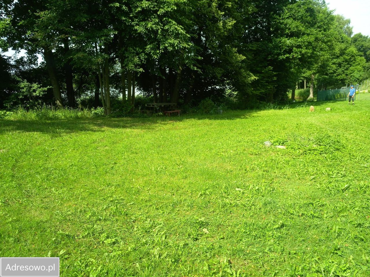 Działka rolna Rańsk