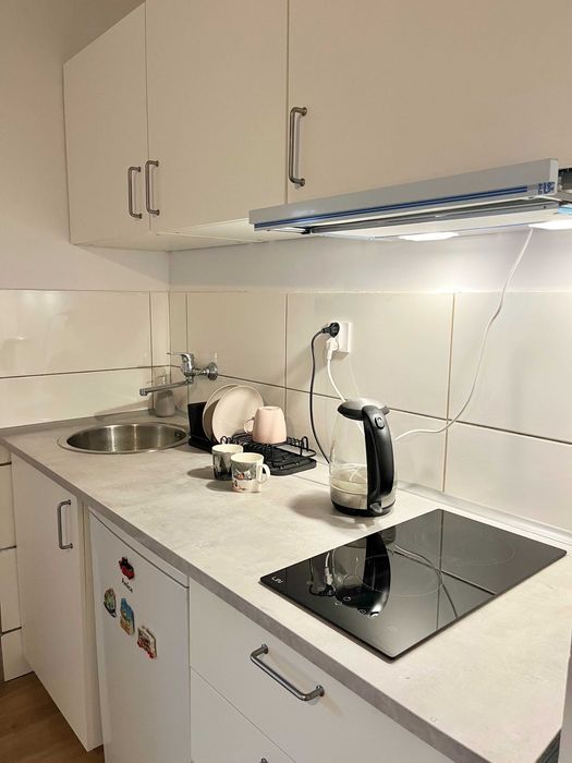 Mieszkanie 1-pokojowe Katowice Koszutka, ul. Katowicka. Zdjęcie 4