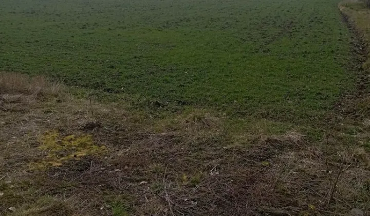 Działka budowlana Szczucin