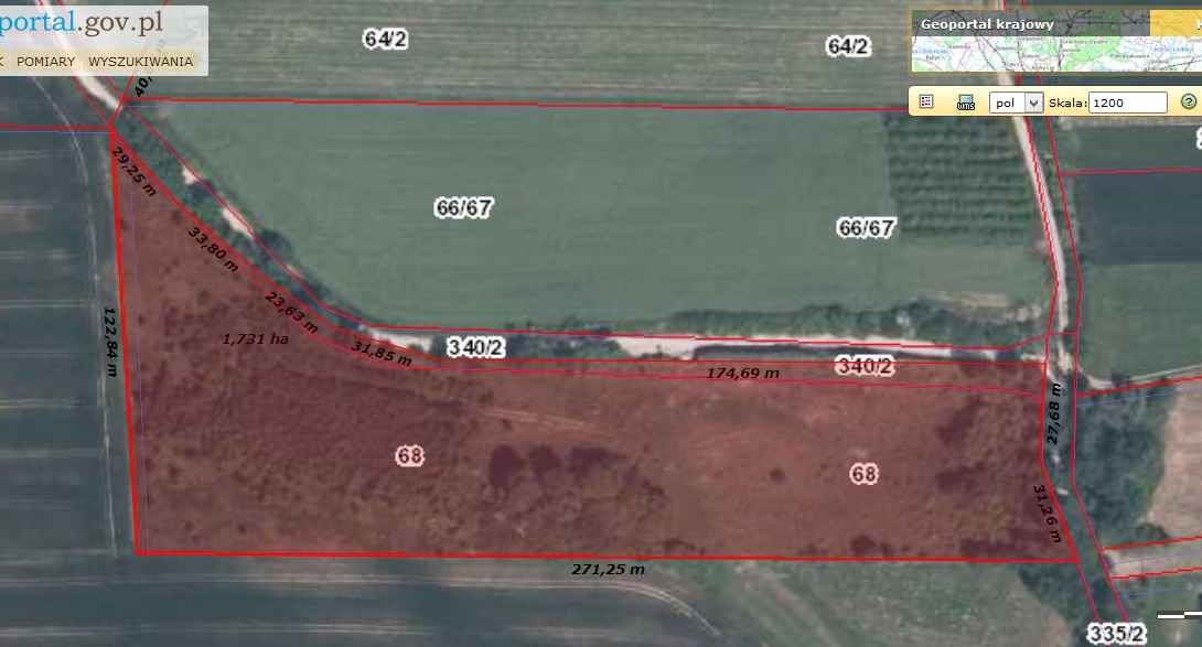 Działka budowlana Boduszów Daleszyce. Zdjęcie 2