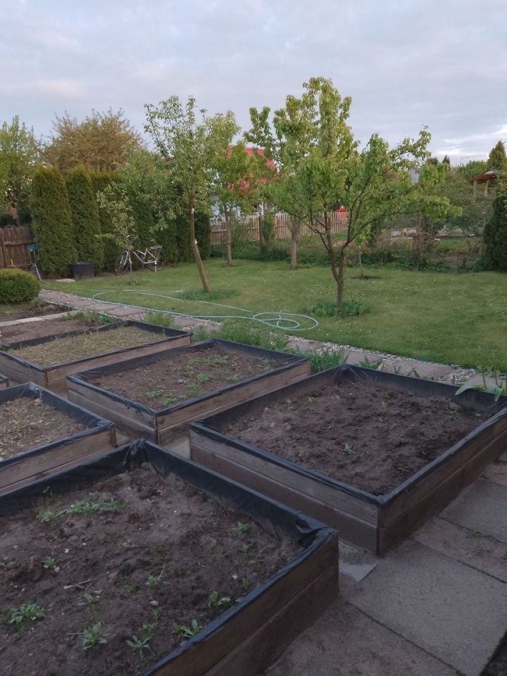 Działka rod Szczytno, ul. Robotnicza. Zdjęcie 4