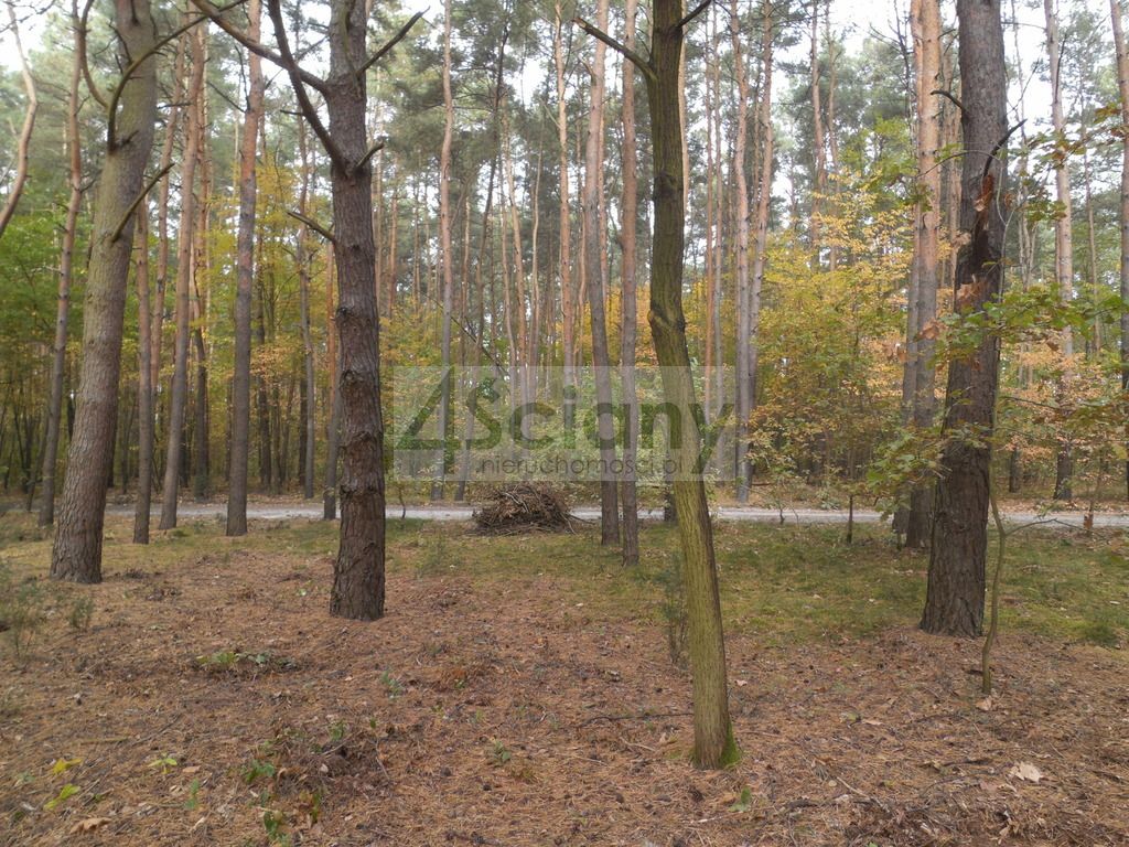 Działka budowlana Józefów. Zdjęcie 5