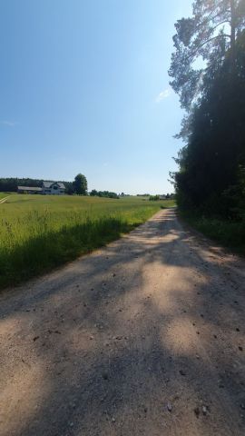 Działka rolna Rutka-Tartak. Zdjęcie 1
