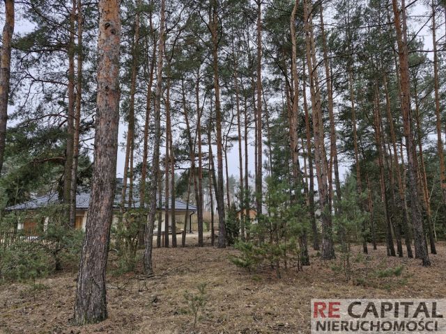 Działka inwestycyjna Adelin. Zdjęcie 3