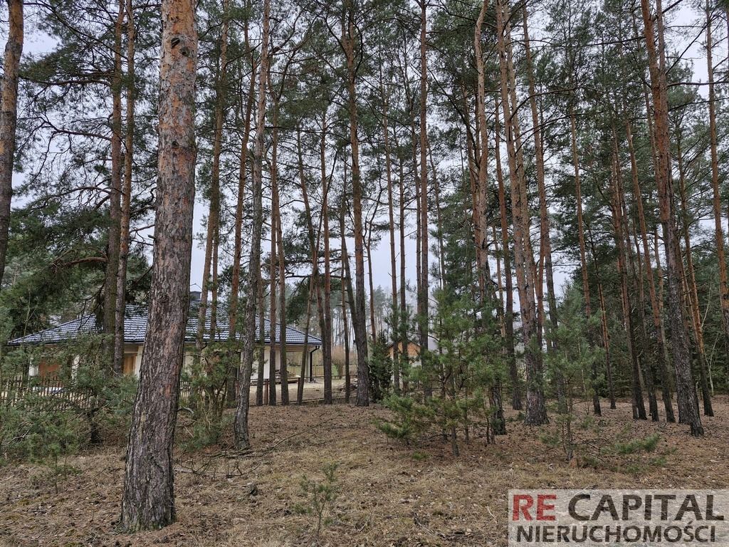 Działka inwestycyjna Adelin. Zdjęcie 3